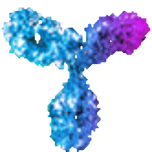 cropped-Detect-1D-Logo-Animation-Any-BG-3.gif